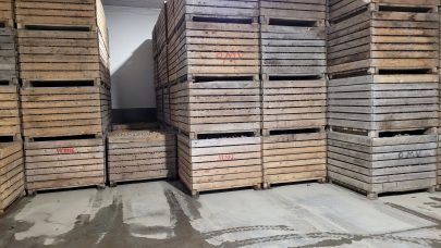 Bilde til tekst om matpotetmarkedet