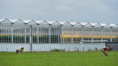 NLR Rogaland Klepp Norheim Gard 2659